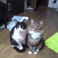 るる3 会員画像
