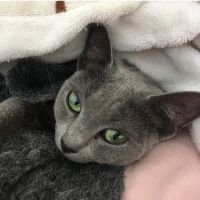 ZOO猫田 会員画像