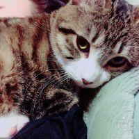 会員画像