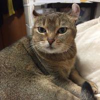 ユナタロウ 会員画像