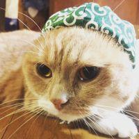 ジョニジョニ 会員画像