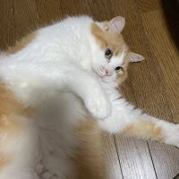 会員画像