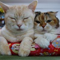 nori1966 会員画像