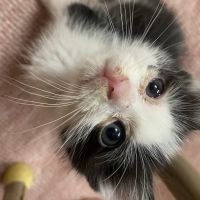 まめたろーさん