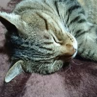 まるこ? 会員画像