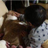 会員画像