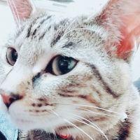ちゃたろーママ 会員画像