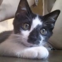 ルーニャ 会員画像