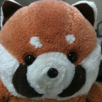 tkoji 会員画像
