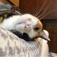 ミサこ 会員画像
