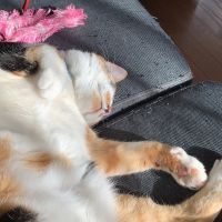 なつみ 会員画像