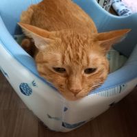 もえり 会員画像