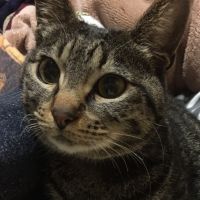 びびるる 会員画像