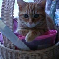 まあちゃん2011さん