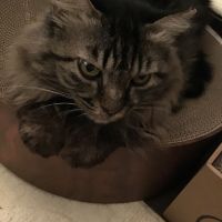 会員画像