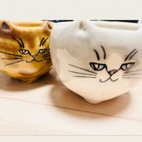 しょたろ 会員画像