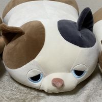 ねむたいねこ 会員画像