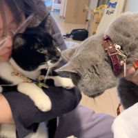 りかてん 会員画像