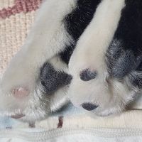 タマちん 会員画像