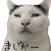 orukaさん