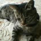 ＊ ちびらぶ ＊さん