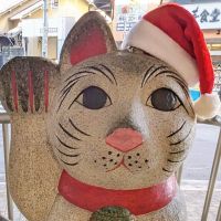 ざび助さん