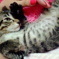 ゆきこ0718 会員画像