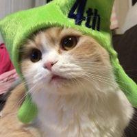 会員画像