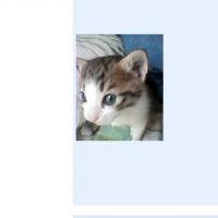 ひろみか 会員画像