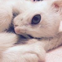 ゆうテム 会員画像