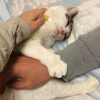 にゃんすけ1024 会員画像