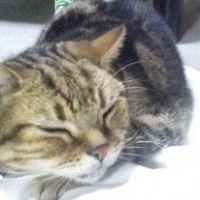 ジョイ* 会員画像