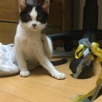 ミーたんママ 会員画像