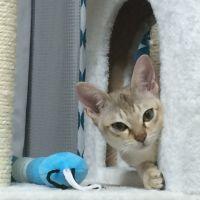 うにょん 会員画像
