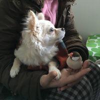 くりのあ 会員画像