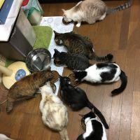 会員画像