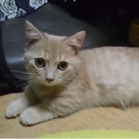 会員画像