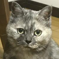 にいた 会員画像