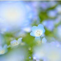 アロトン 会員画像