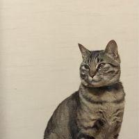 あきち(´・ω・`) 会員画像