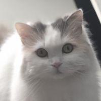 yuriyuri0113 会員画像