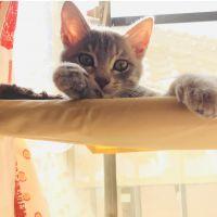 れいき 会員画像