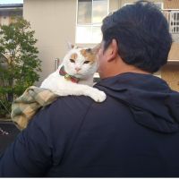 cat buddyさん