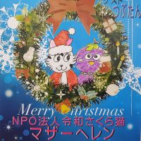 はびきのふじいでら猫レスキュー 会員画像