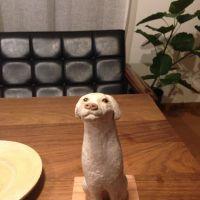 会員画像