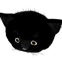 およねこぶーにゃん 会員画像