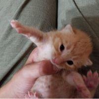 くらくら1122 会員画像