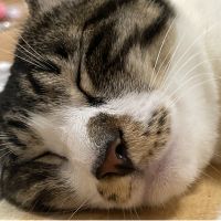 会員画像