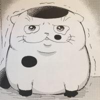 会員画像