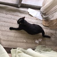おかち 会員画像